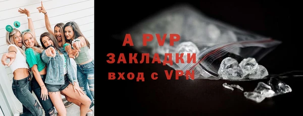 apvp Богданович