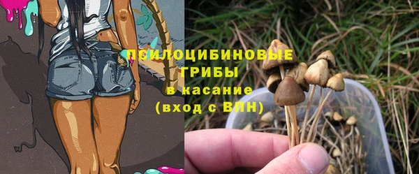 дмт Нязепетровск
