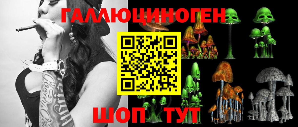 МЕТАДОН Петровск