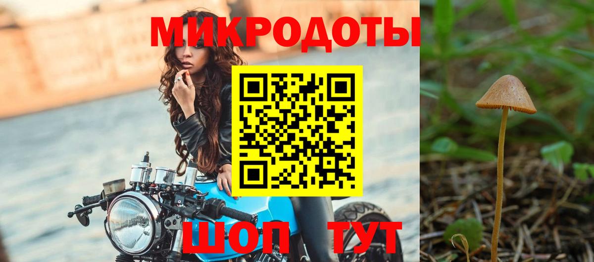 Галлюциногенные грибы мухоморы Петровск